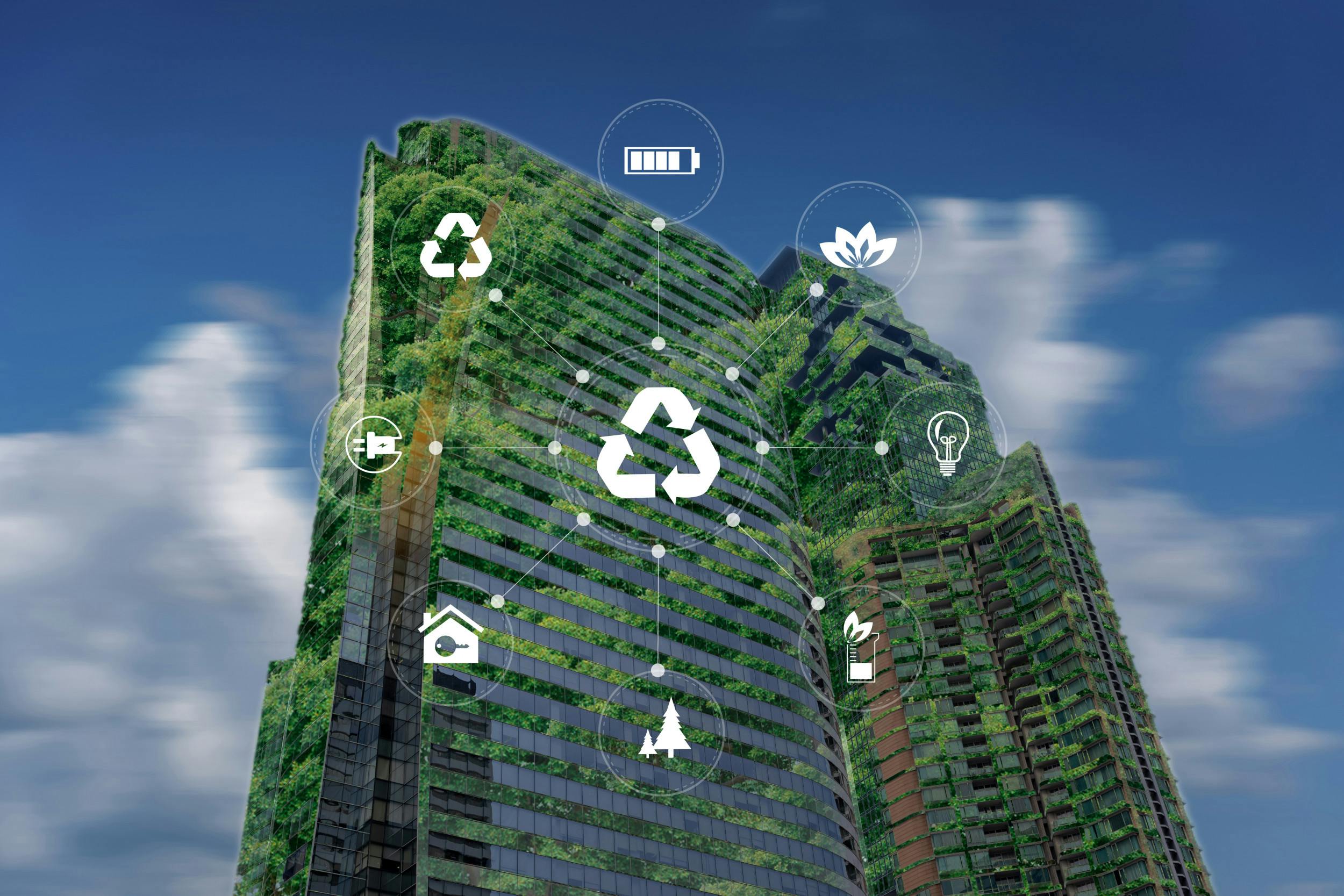 Meeting Economic and Environmental Needs Using the Internet of Things