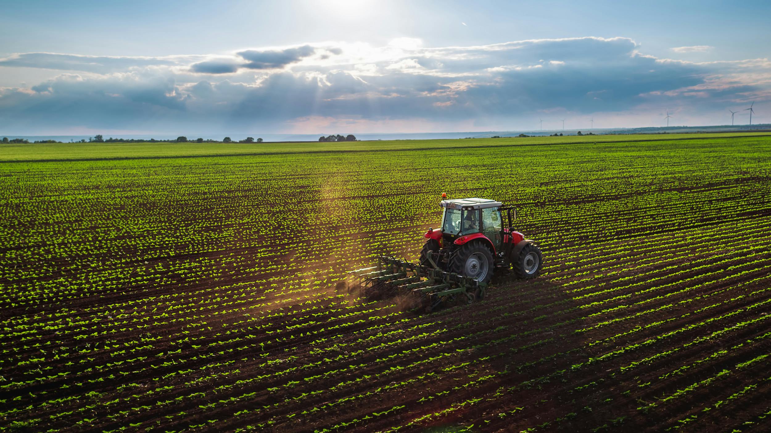 3 Things Farmers Need to Embrace Innovation