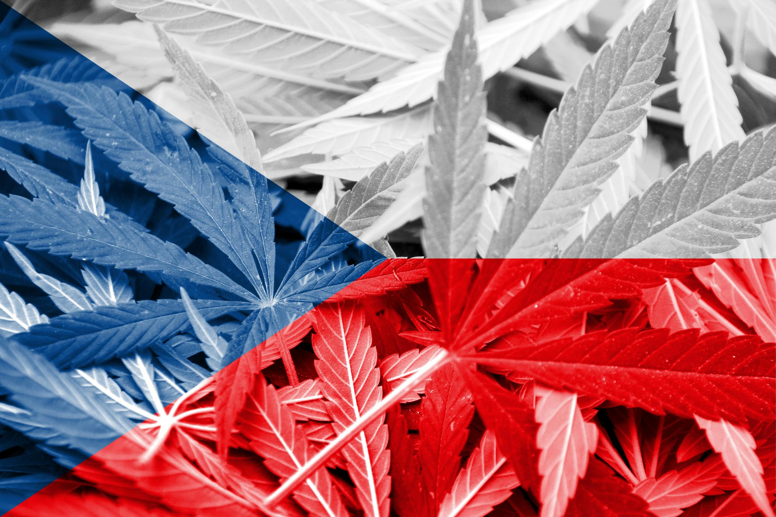 Following Germany's Lead: How Cannabis in the Czech Republic Stands to Benefit