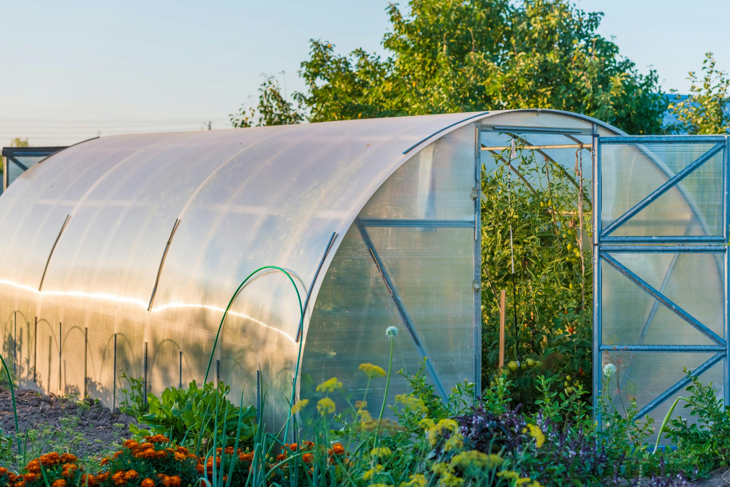 Growing Green: Sustainable Practices for Flourishing Plant Nursery Businesses